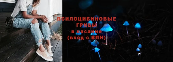 2c-b Беломорск