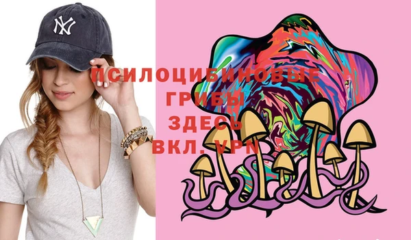 PSILOCYBIN Белоозёрский