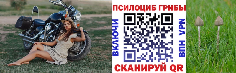 Галлюциногенные грибы ЛСД  Цоци-Юрт 